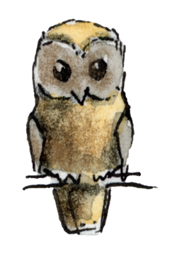 Kleine, handgezeichnete Illustration einer Eule