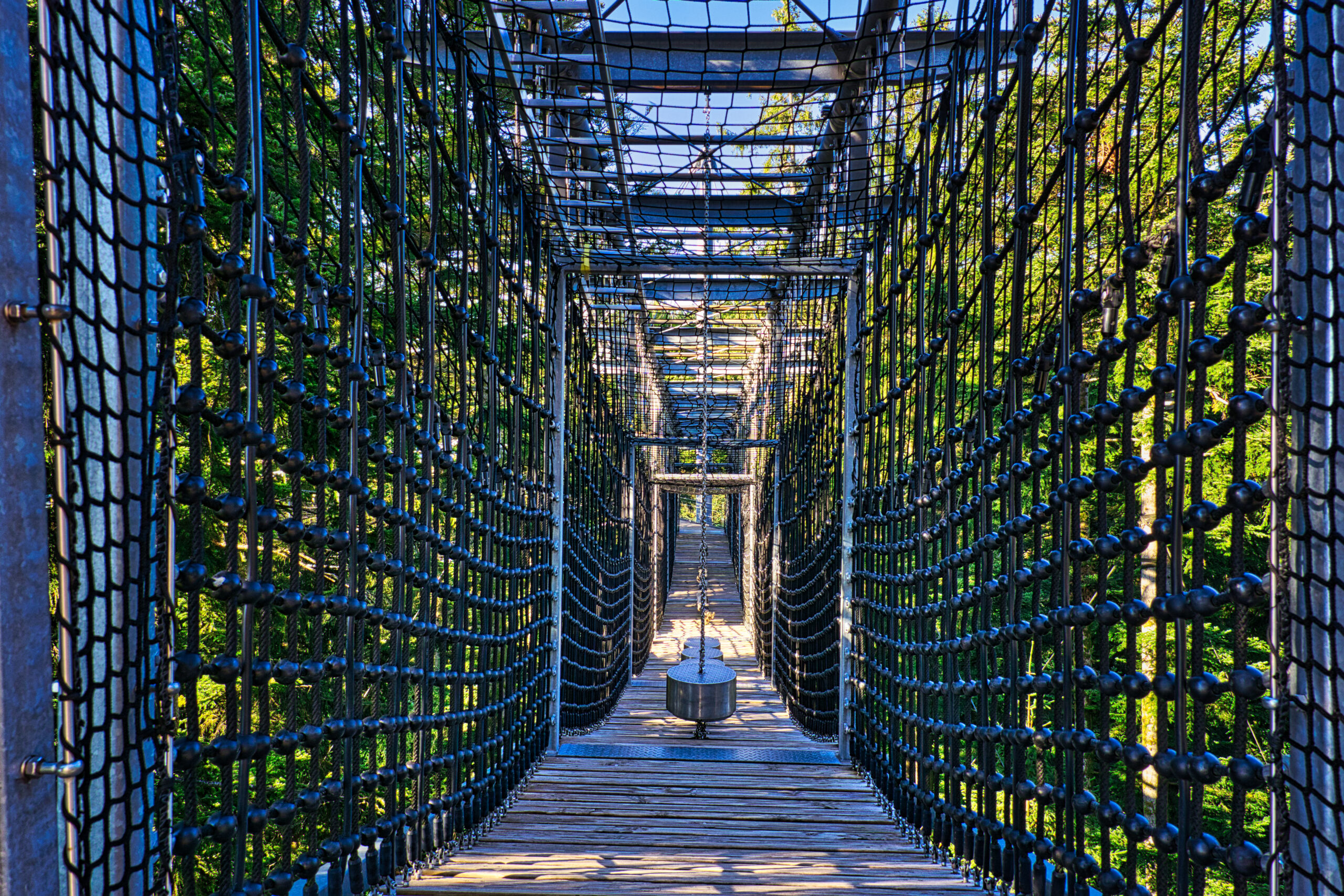 Net tunnel photo