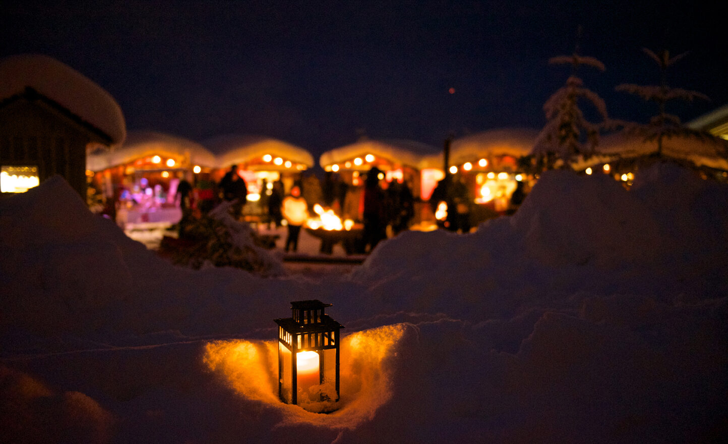 Zauberhafte Waldweihnacht