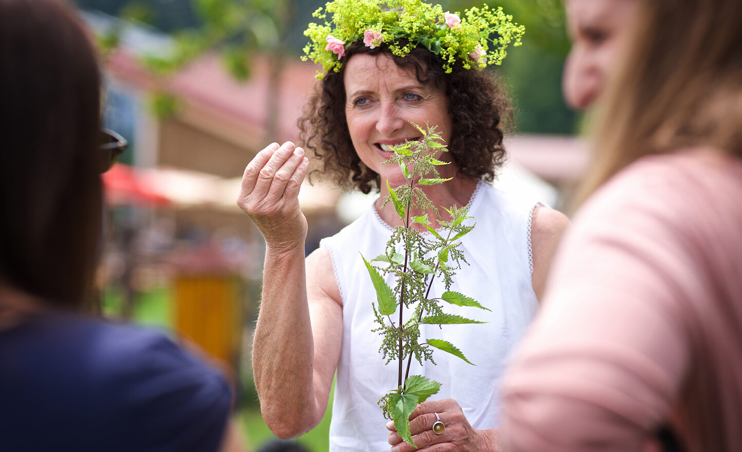 Waldkräuterfest