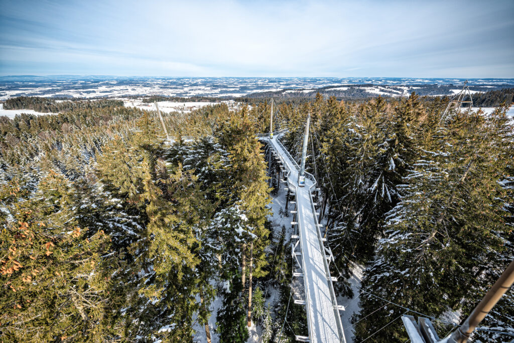 Entdecke die Waldwelt im Winter. Von hier oben, aus bis zu 40 Metern Höhe, kannst Du herrliche Ausblicke in die verschneite Allgäuer Alpenlandschaft und auf den Bodensee genießen.
