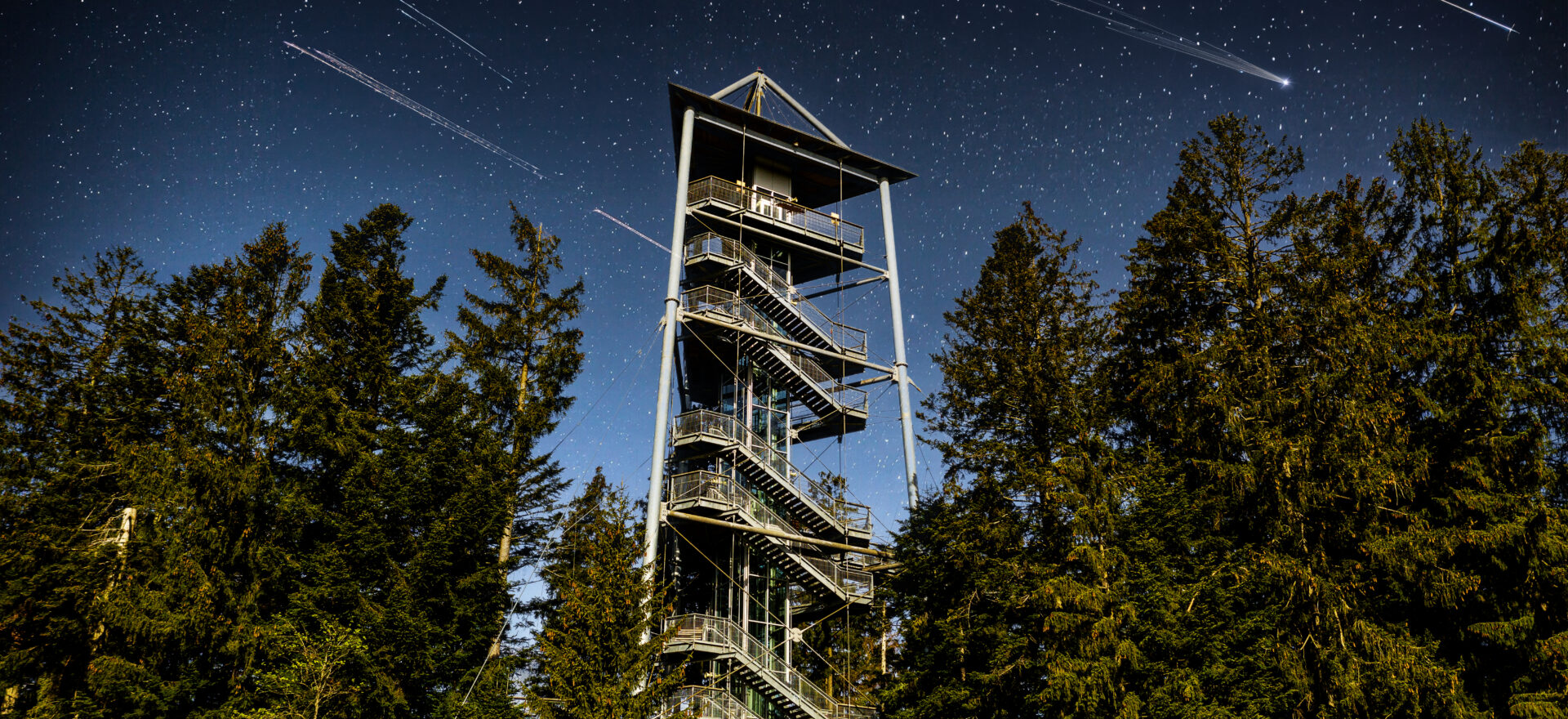 Sternschnuppennacht Waldwelt