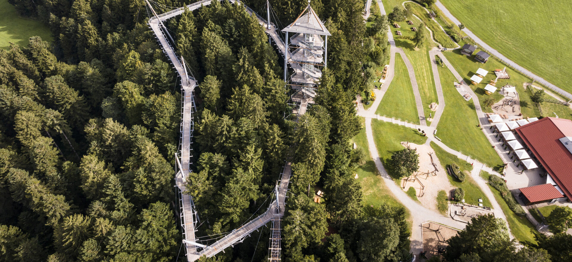 Waldwelt von oben
