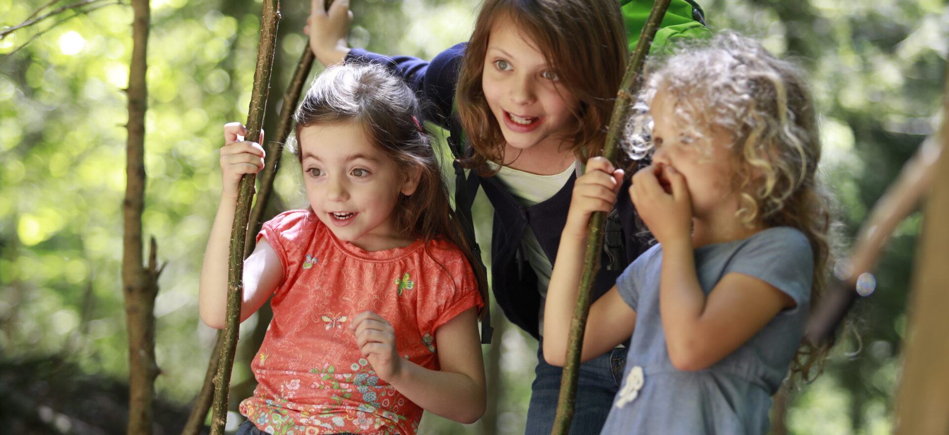 Schultütenfest Für Kinder gibt es auf unseren Walderlebniswegen einiges zu entdecken!