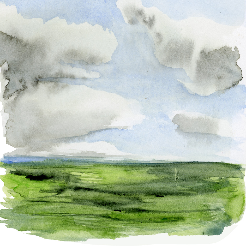 VR-tour-feldhintergrund-80 Illustration zu unserer virtuellen Tour Zapfentour