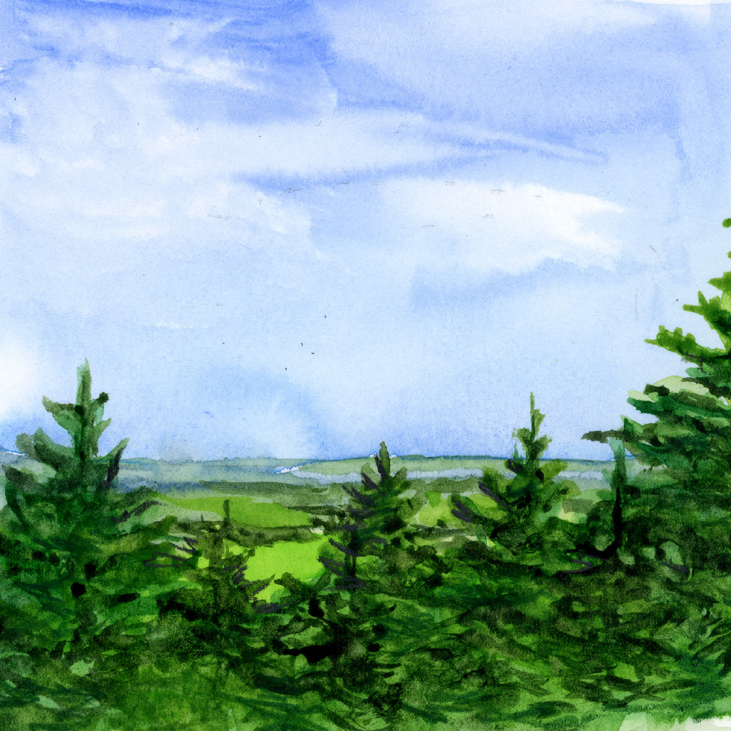 VR-tour-waldhintergrund-80 Illustration zu unserer virtuellen Tour Waldweltreise