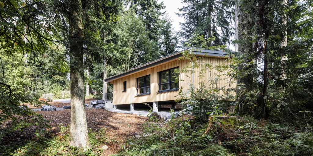 Waldräume – Tagen. Denken. Wachsen.