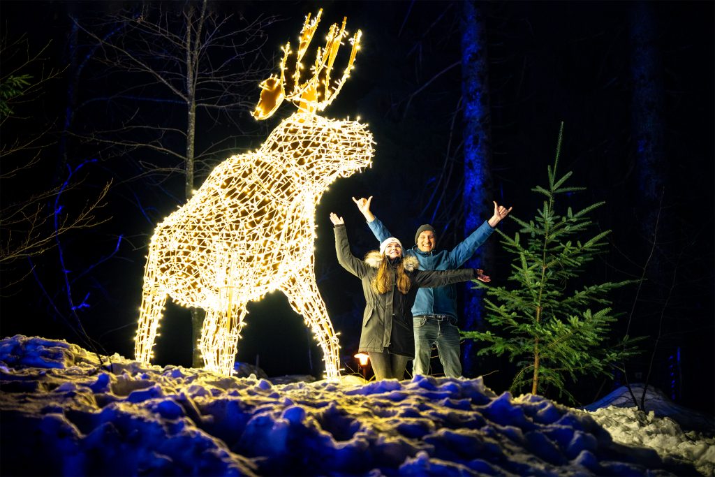 Winter at the Waldwelt