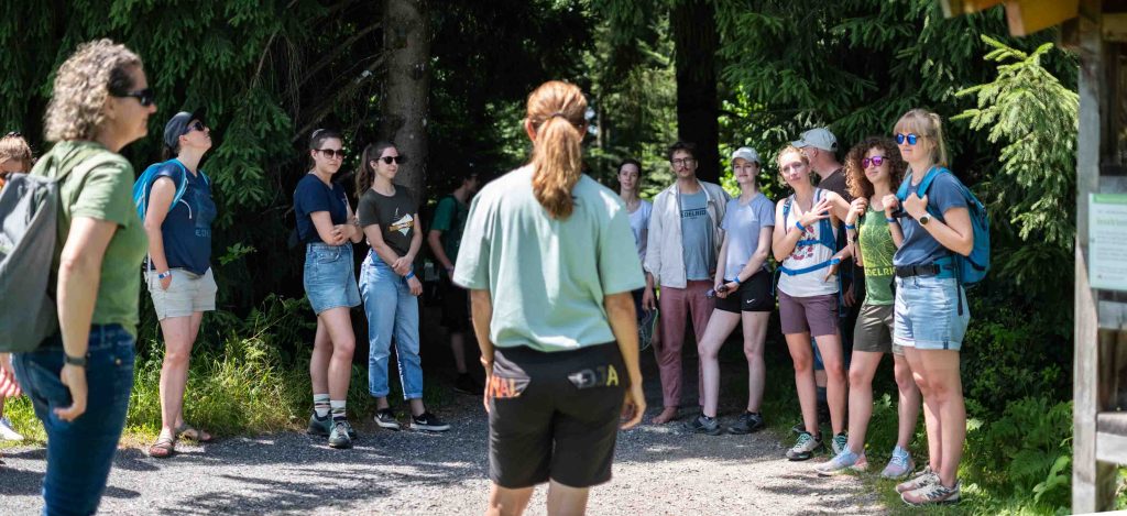 Teamevent Allgäu – rauskommen, zusammenfinden