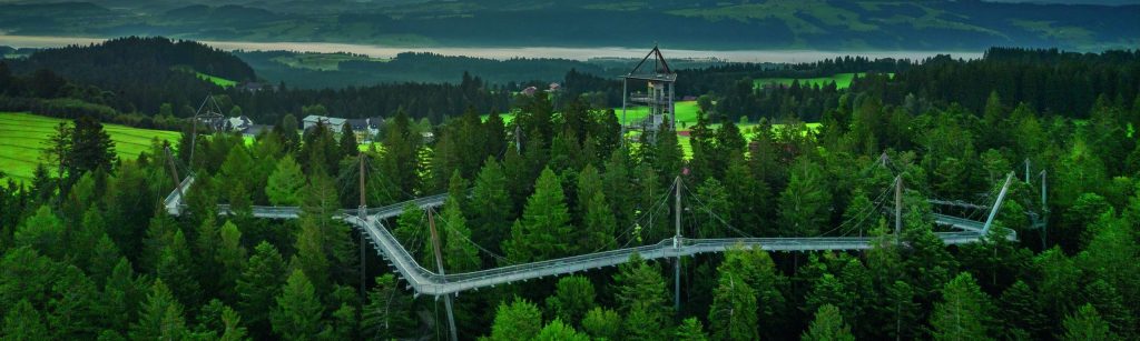 Baumkronenpfad Allgäu – der Wald hebt ab