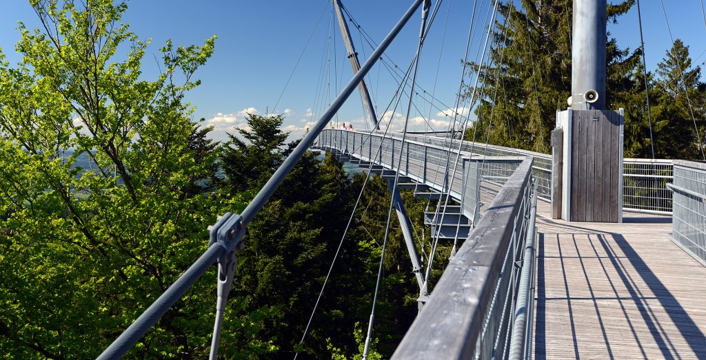 Waldwipfelweg im Allgäu – Ausflug mit Hochgenuss 