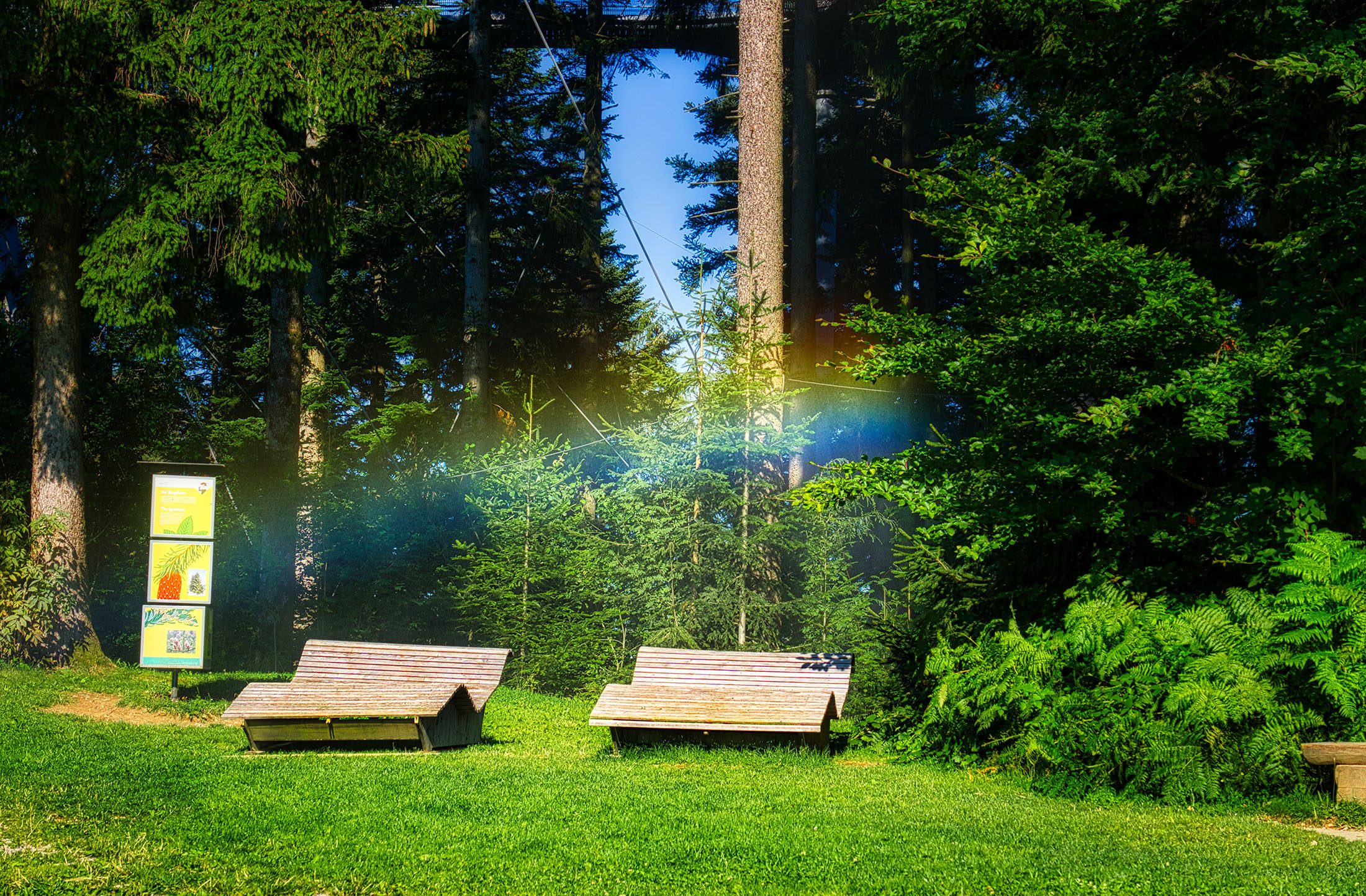 Waldwelt für Familien